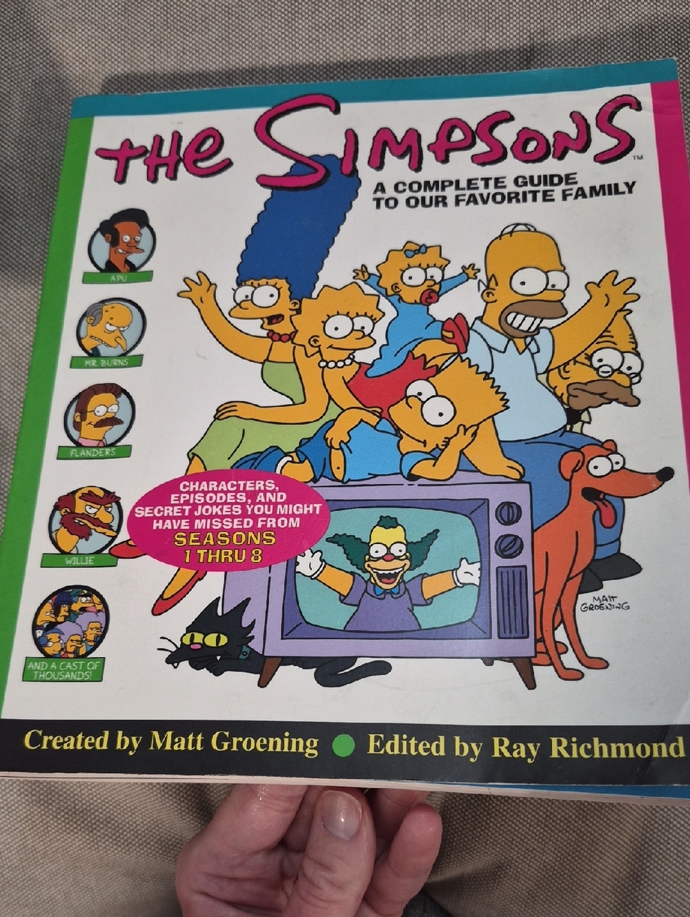 The Simpsons Complete Guide Paperback - Colorful Character Cover
